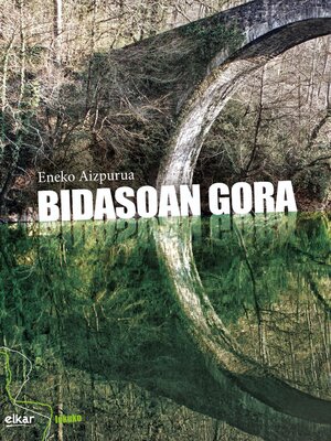 cover image of Bidasoan gora